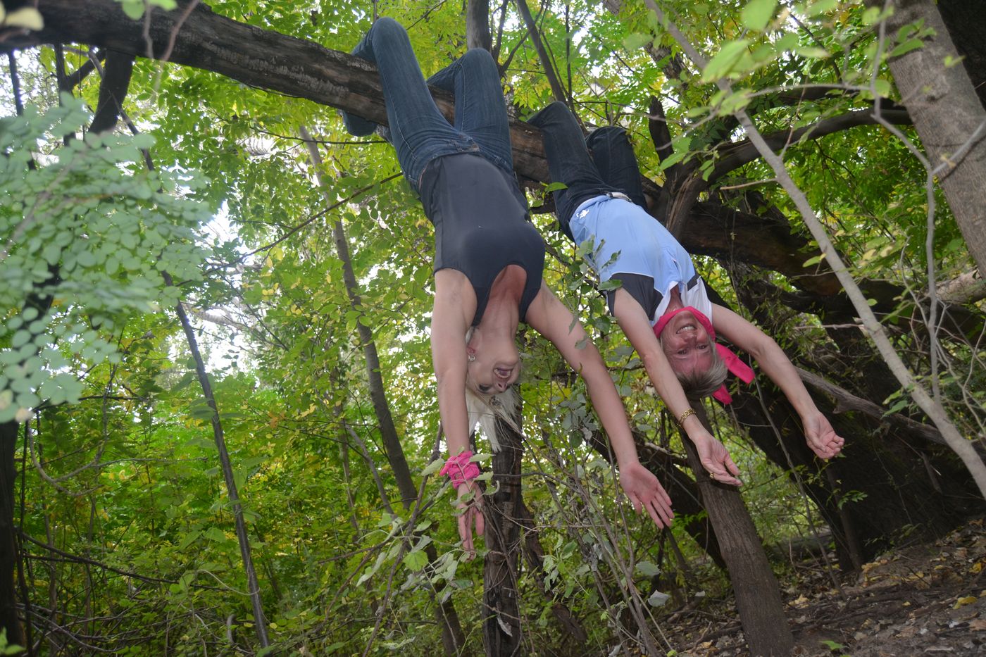 Delegates taking on an adventure challenge in the trees